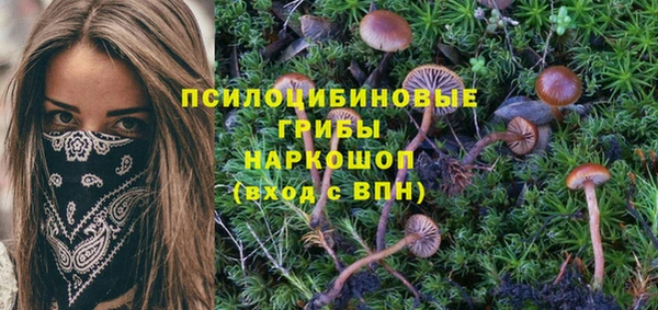 jwh Беломорск