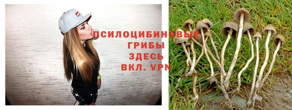гидра Белоозёрский