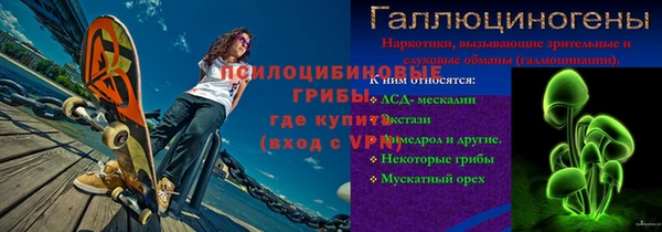 соль ск Белокуриха