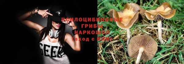 гидра Белоозёрский